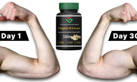 Why Bodybuilders Use Tongkat Ali Extract for Peak Results?